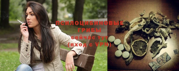 стафф Верхний Тагил